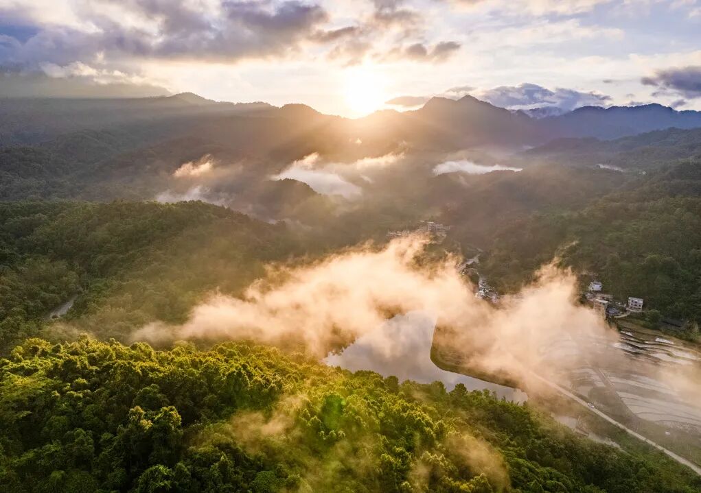 冬天来五指山，把阳光晒进心里