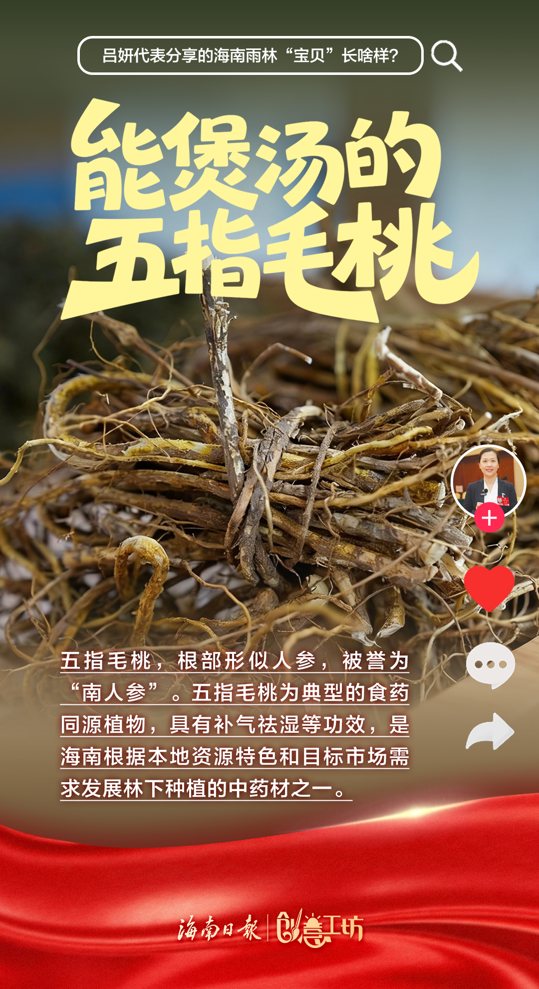 海南雨林“宝贝”长啥样？一起来揭秘→