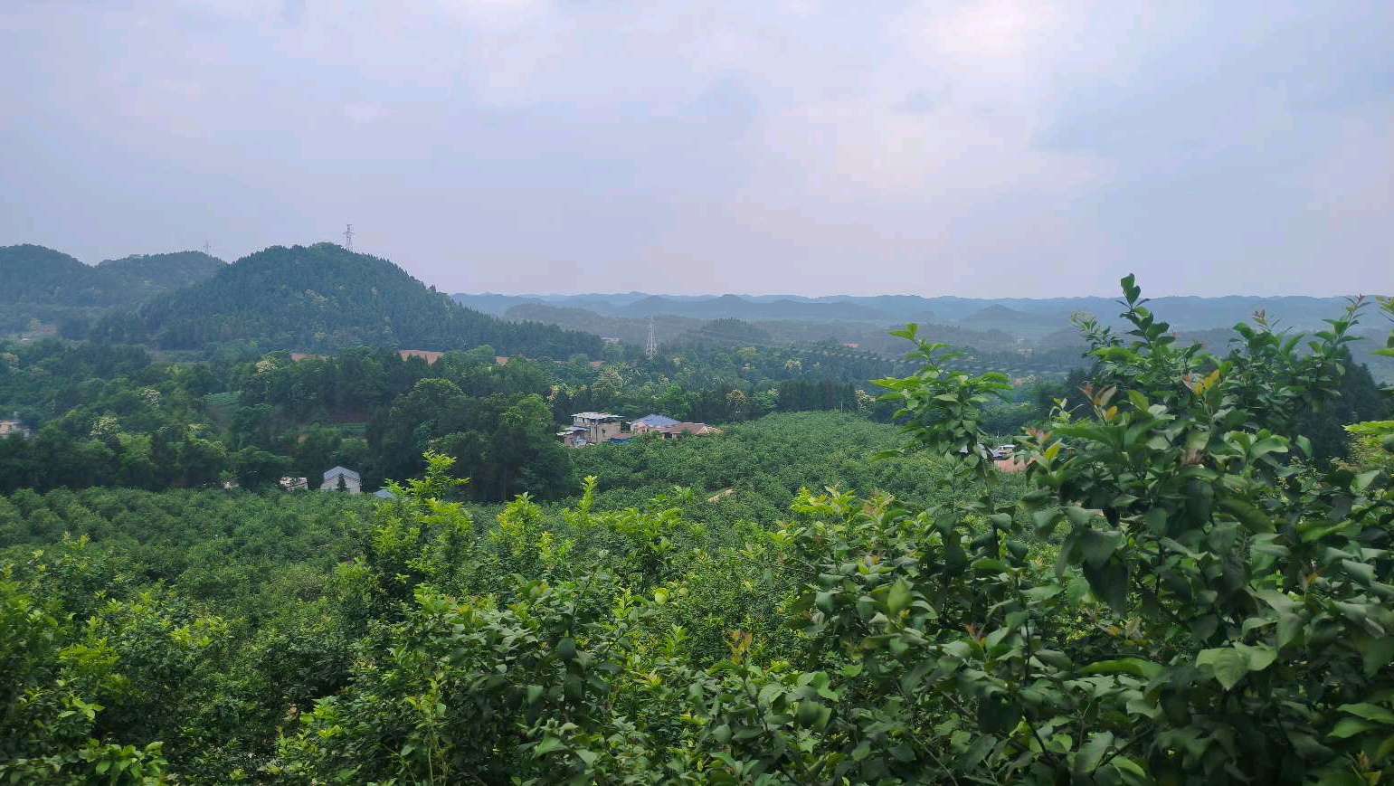 岁月的利息
——写给自己的生日