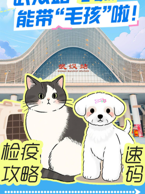 武汉站坐高铁能带“毛孩”啦！检疫攻略速码→