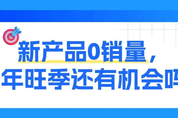 0基础做亚马逊新品？旺季运营+补贴攻略请收好