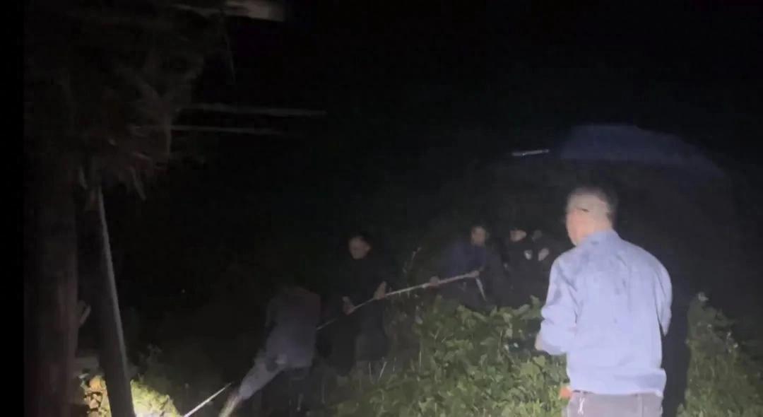 猪掉粪坑、牛跑大山？蜀黍“硬核”救援，守护老乡“钱袋子”！