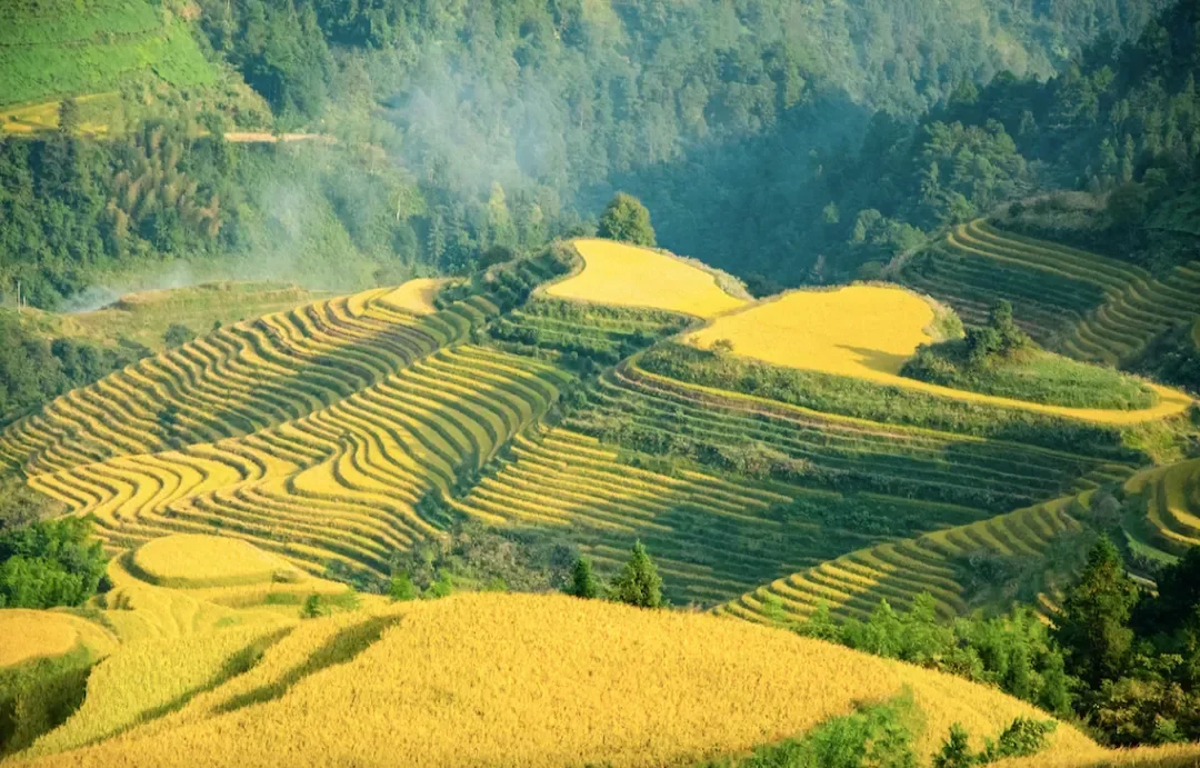 © 走走停停视界观