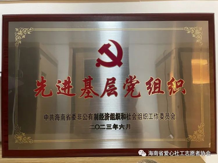 【喜报】中共海南省爱心社工志愿者协会支部委员会荣获海南省两新组织先进基层党组织荣誉称号！