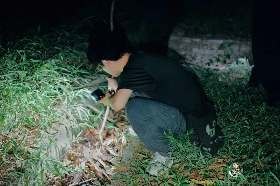 △志愿者卷子在观察生物