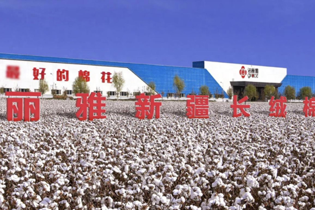 洁丽雅的“少爷”流量，能救一条毛巾吗？