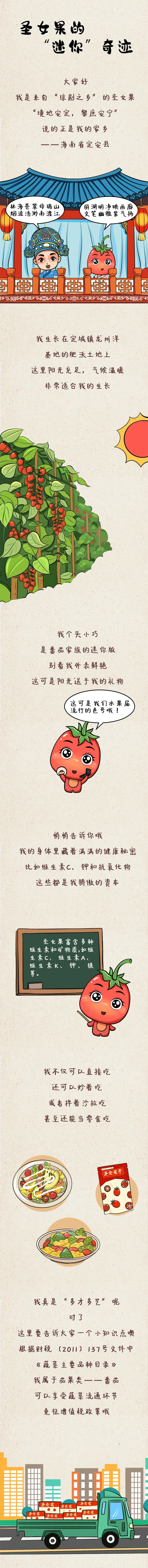 【万千气象看海南·基层瞭望在定安】圣女果的“迷你”奇迹