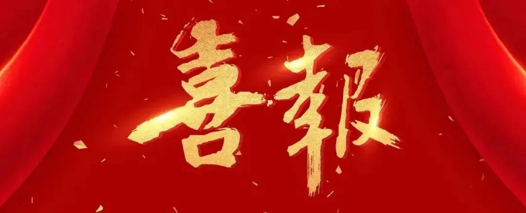 实力加冕！雪宝荣膺「中国板材国家品牌」，聚力绿色产业新征程