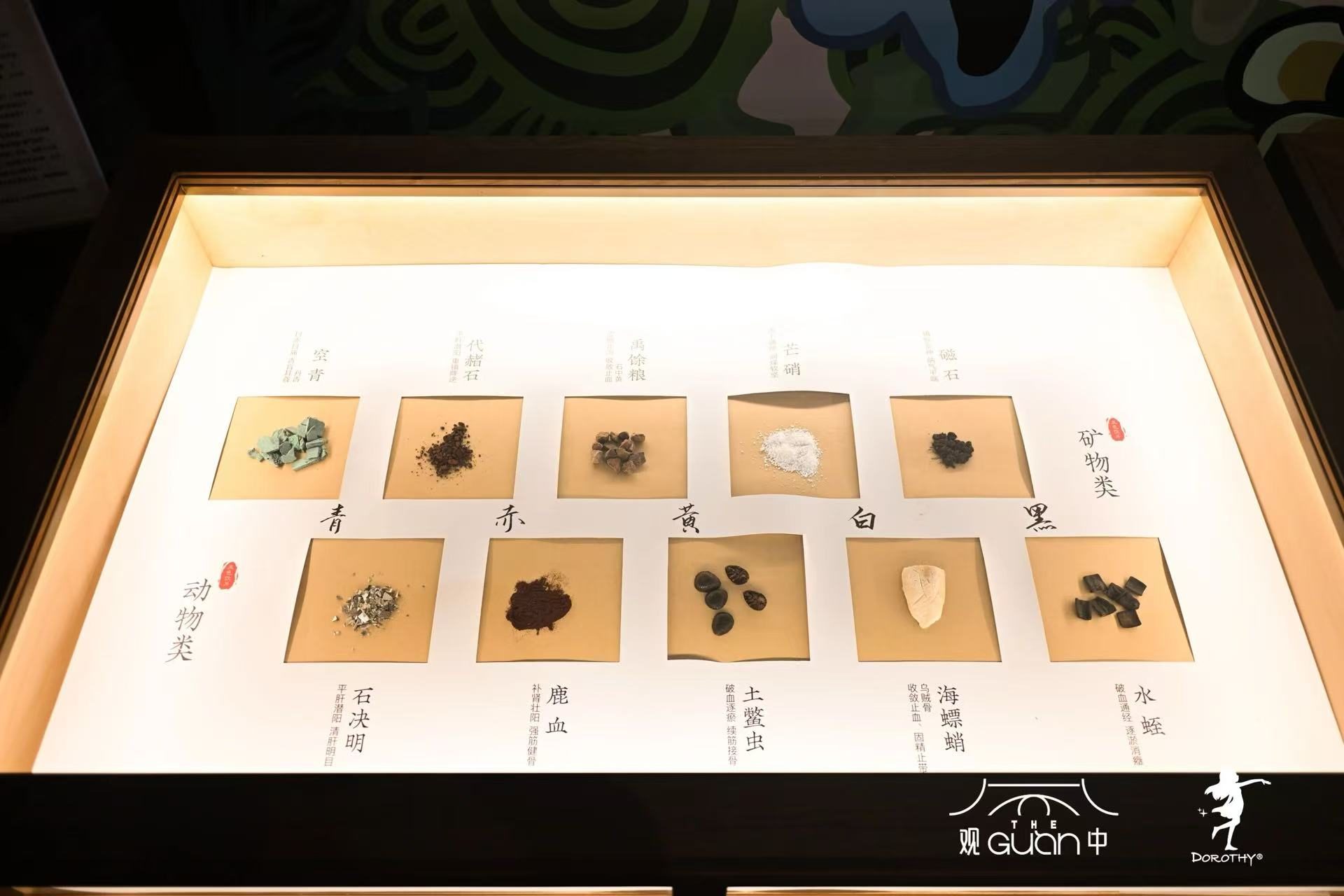 “草木间——中轴国医之多萝西仙草精灵艺术展”全国首展在京开幕(图7) “草木间——中轴国医之多萝西仙草精灵艺术展”全国首展在京开幕(图7)