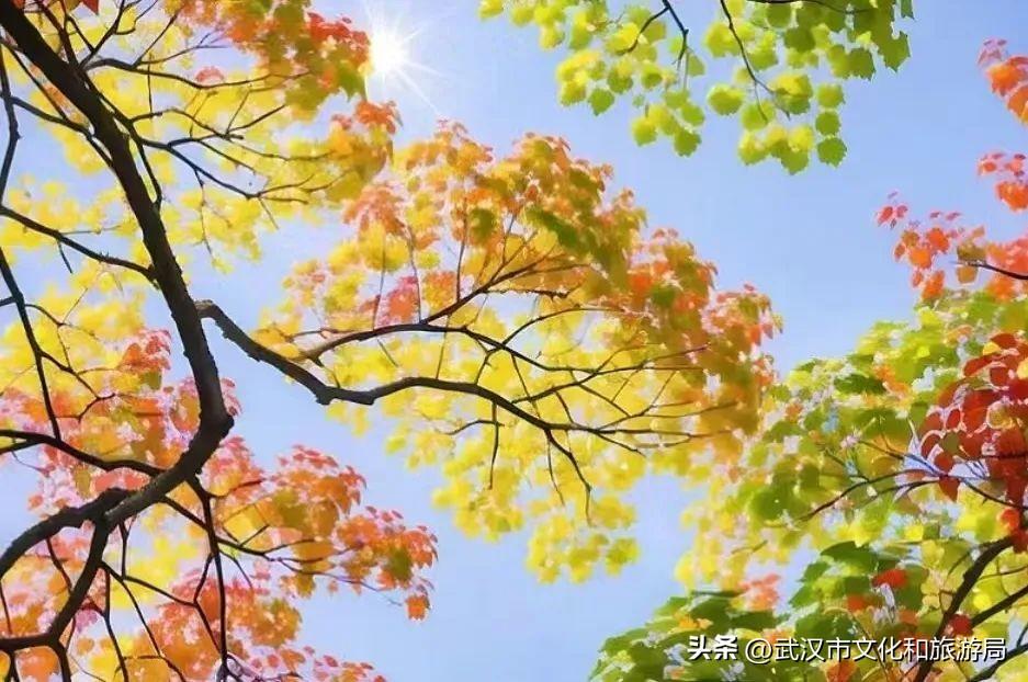 一眼心动！解锁江夏灵山的初冬美好