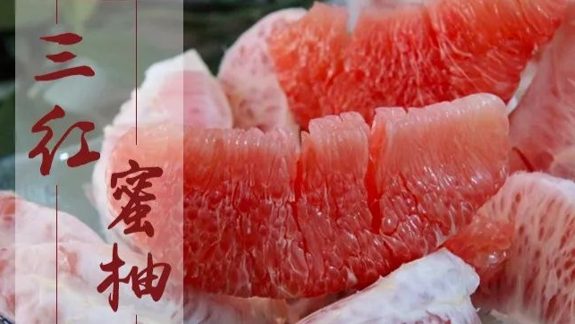 让人吃了“上瘾”的柚子——屯昌三红蜜柚已成熟，又红又甜！还不快来尝尝？
