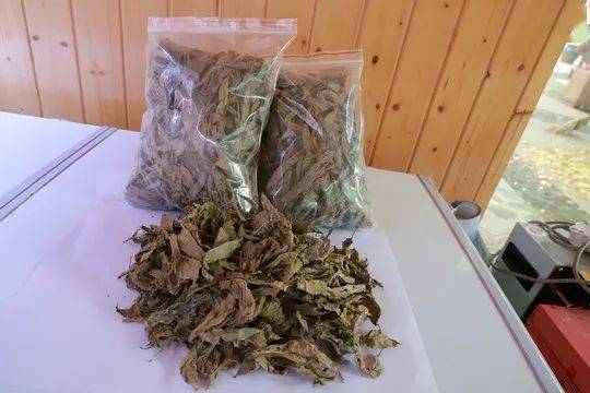 来自海南万宁的百年香鹧鸪茶