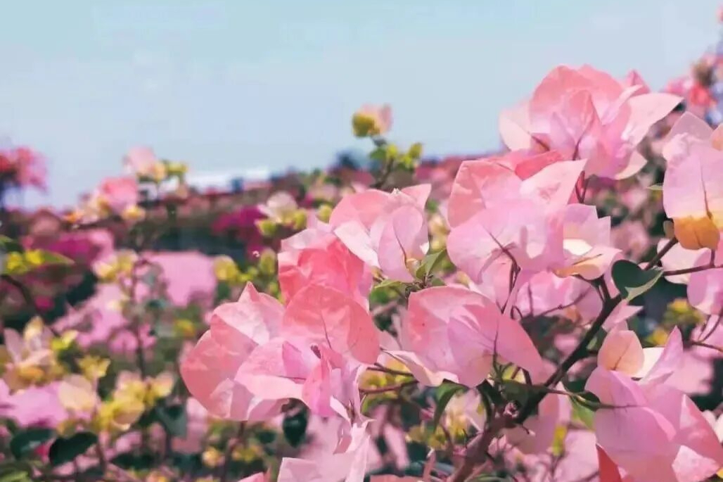 来乐东，和孩子把周末过成自然纪录片