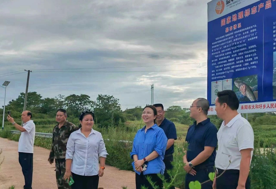 衡阳市政协农业和农村委主任王琴调研益丰农业“耒阳大和草鱼”标准化养殖示范基地