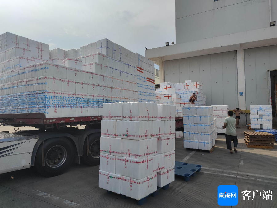 海南全省储备蔬菜万余吨 可保障4天以上需求
