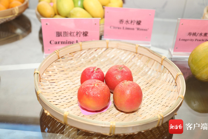 金番木瓜、人心果、水蜜杨桃……20多种热带特色果蔬亮相三亚
