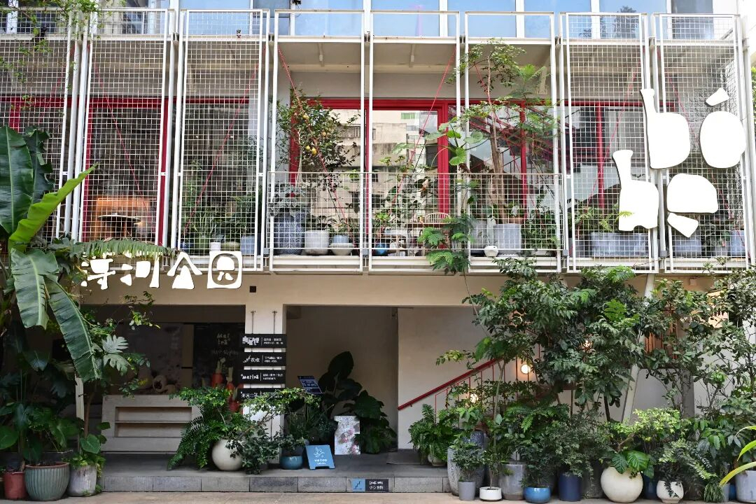海口这个“公园”能吃饭、看书、逛市集？