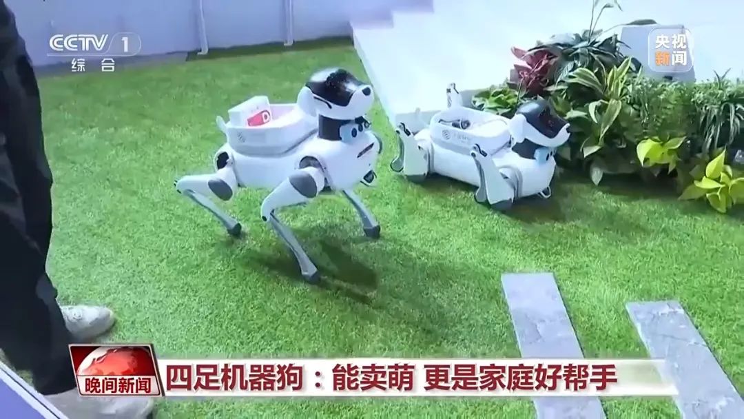炒菜机器人、卖萌机器狗……消博会这些新产品太有意思了🤩