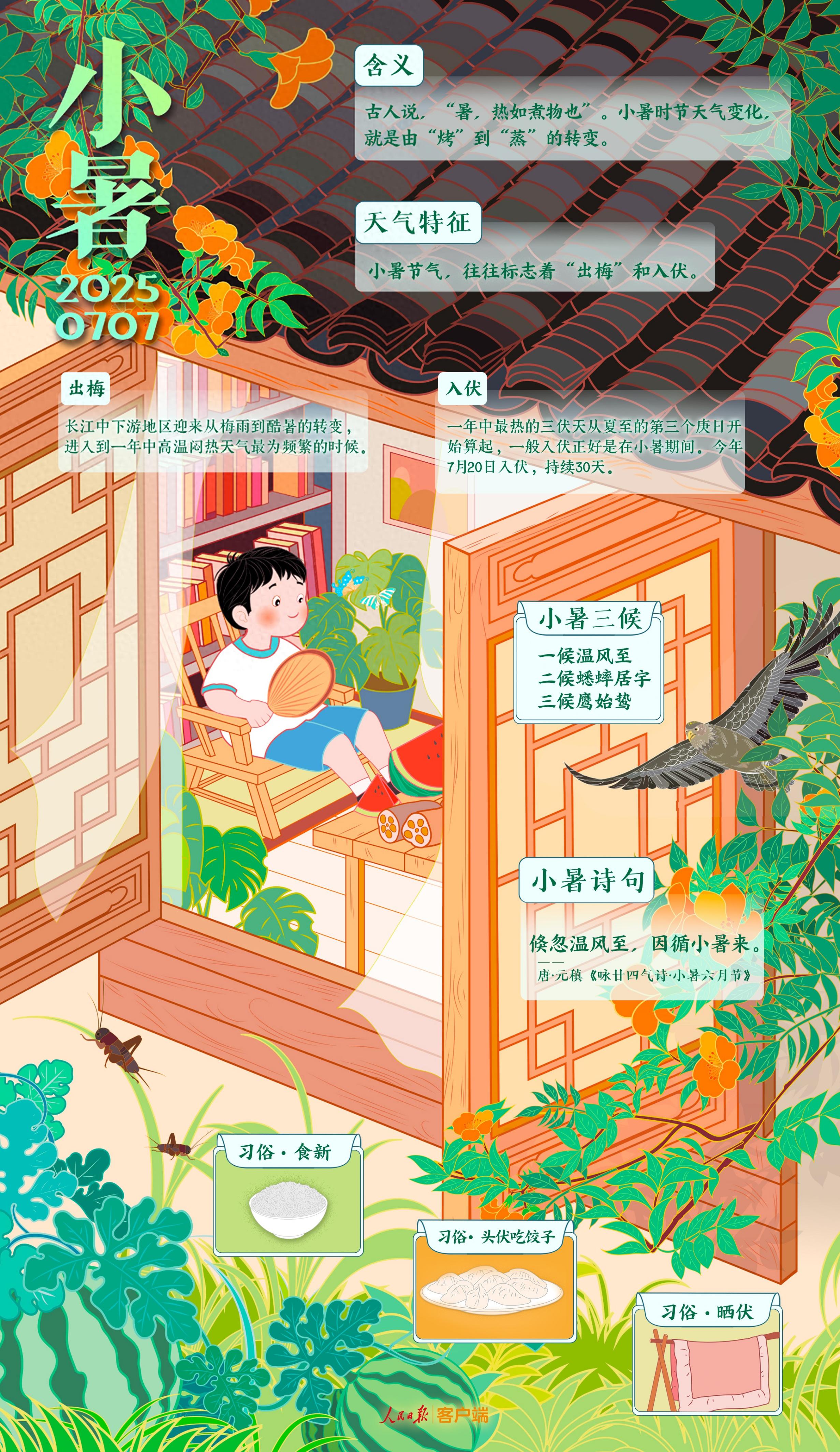 小暑至，盛夏始