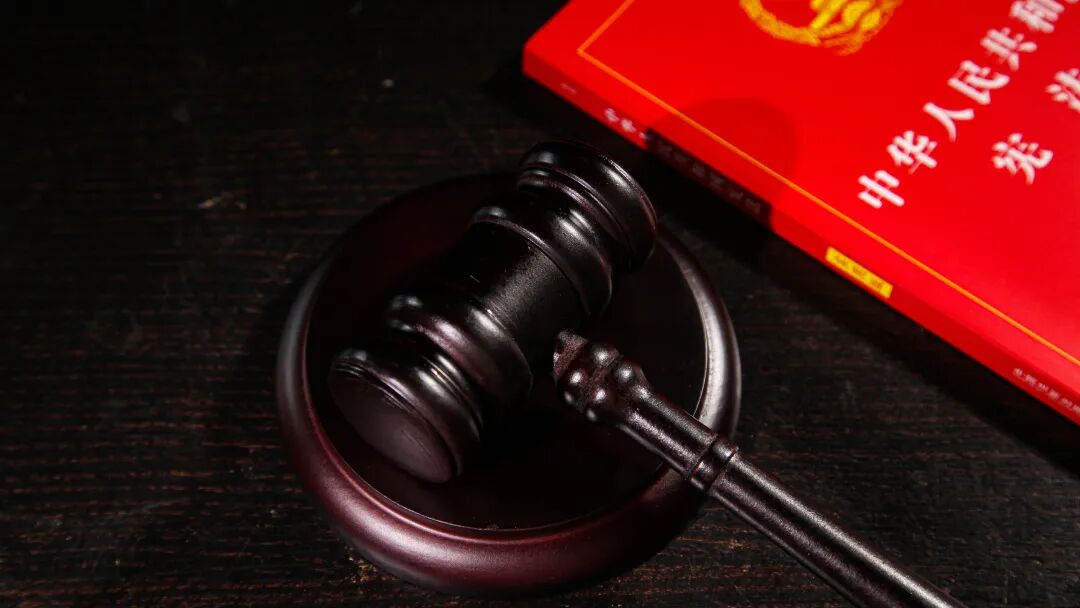 12・4 宪法日 信之源律师：以法为盾，守护每一位当事人的合法权益