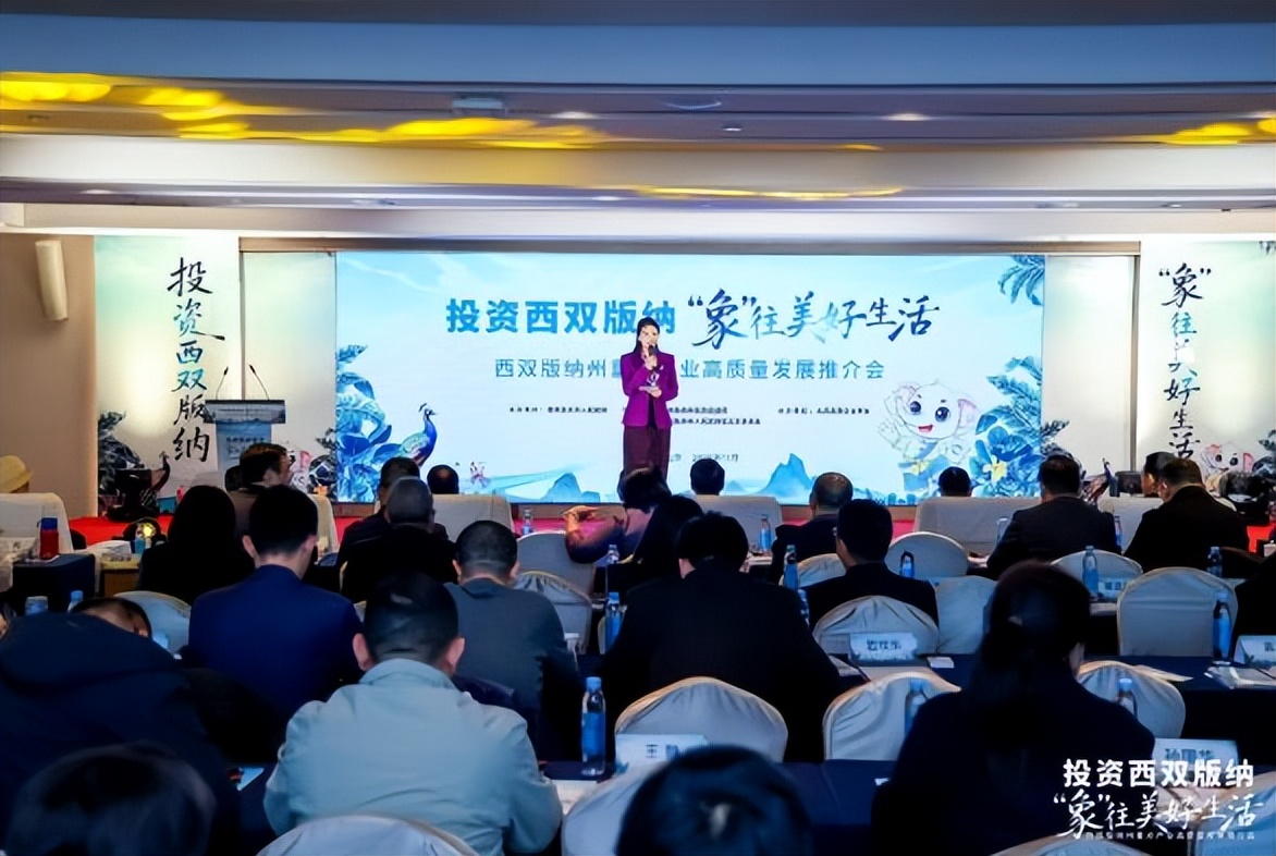 2025年“投资西双版纳·‘象’往美好生活”西双版纳州重点产业高质量发展推介会在京举办