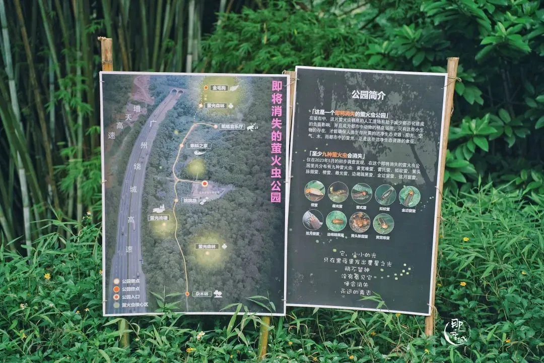 △“萤火虫公园”的展牌