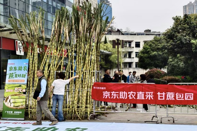 两日售出超3万斤 助农甘蔗在京东折扣超市卖爆了！