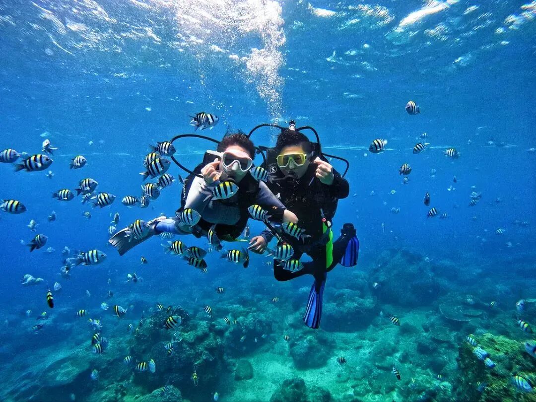 11月还能在海里浪？冬天来海南旅游的快乐谁懂啊！