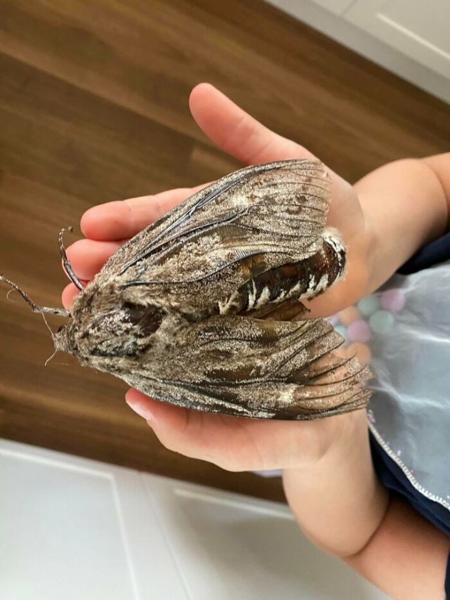 32张见所未见的照片,证明大自然无所不能