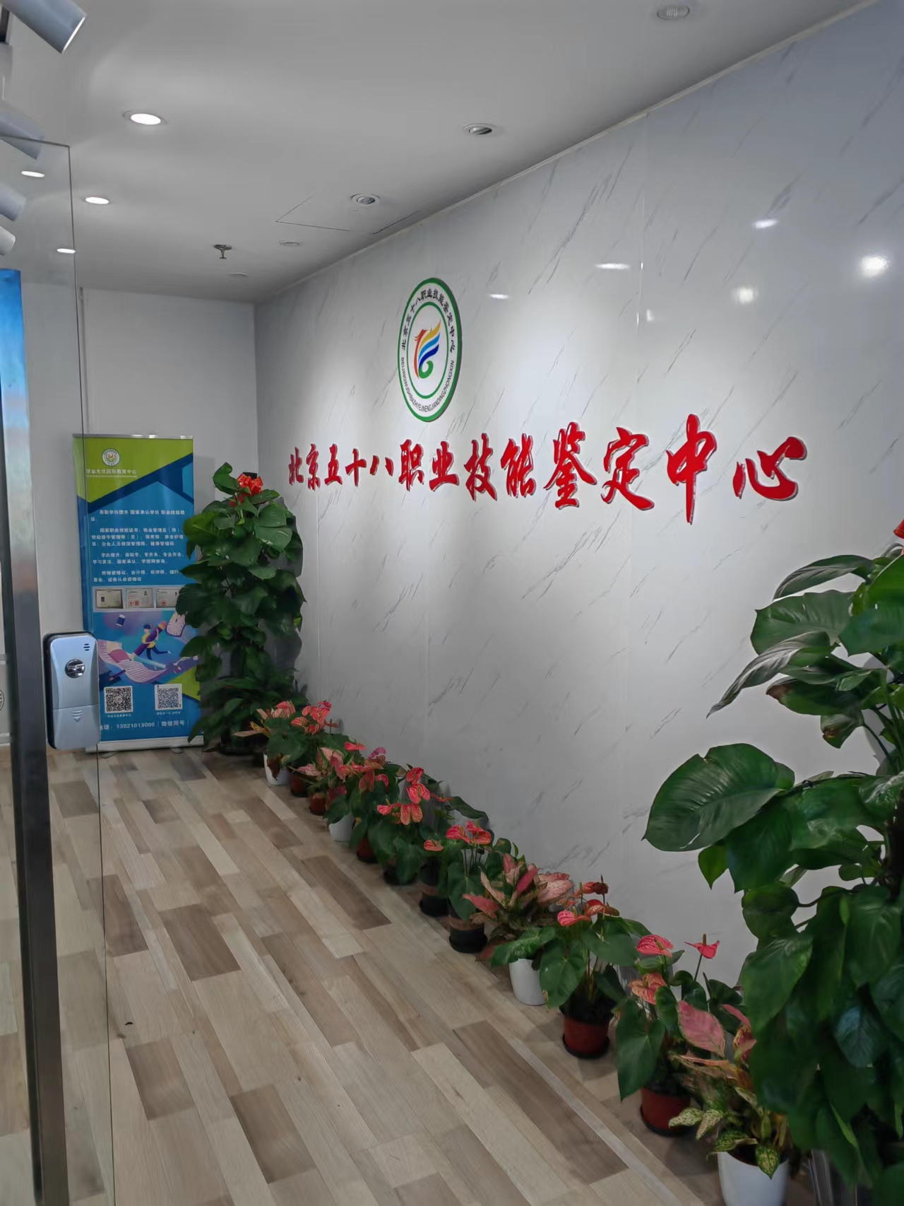 中医康复理疗师与健康管理师：职责与角色的深度解析