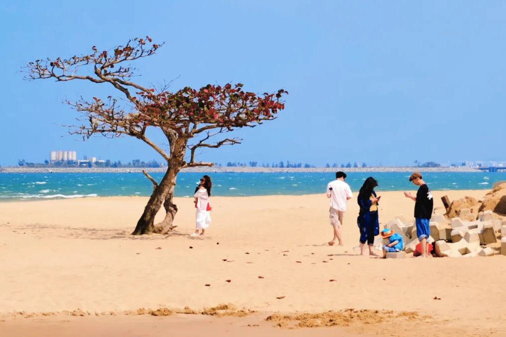 看见海口热情 | 逛消博，享优惠，醉美在山海秀英