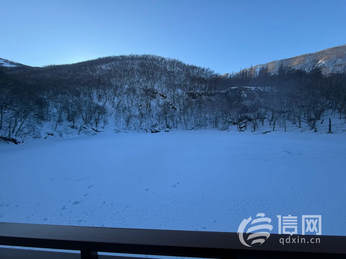 携程高端定制游体验不佳 游客给出差评后人身遭威胁手机被“轰炸”