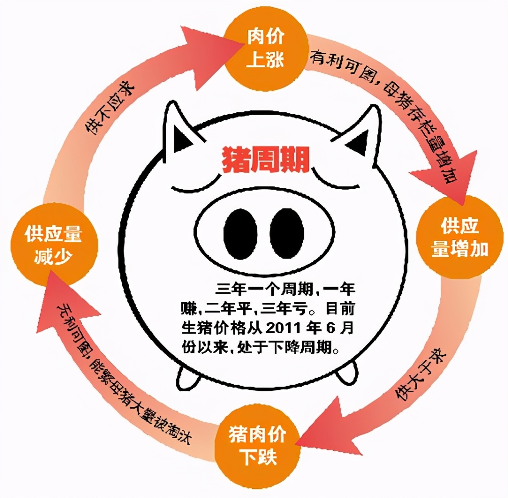 用肉偿巨债,饿死生猪百万头,中国养猪第一股退市