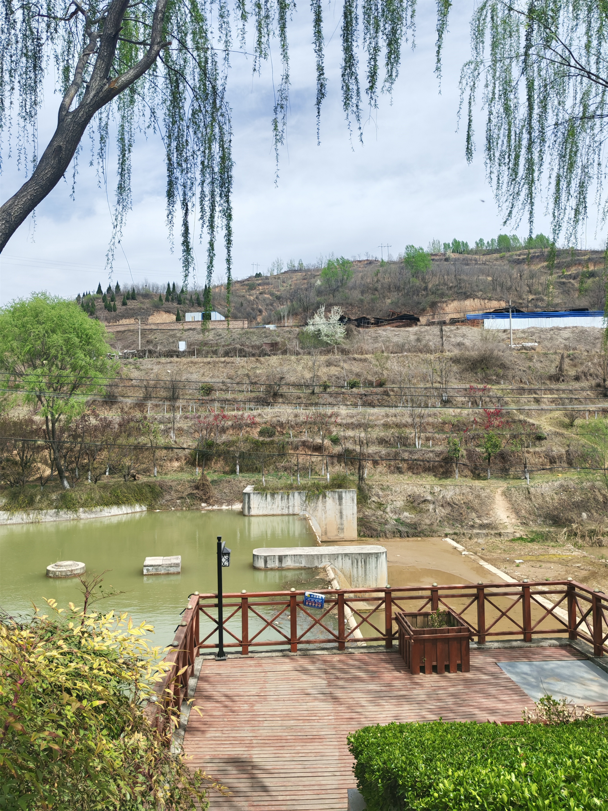 铜川王家河湿地公园的春日景色（1）【摄影周春辉】