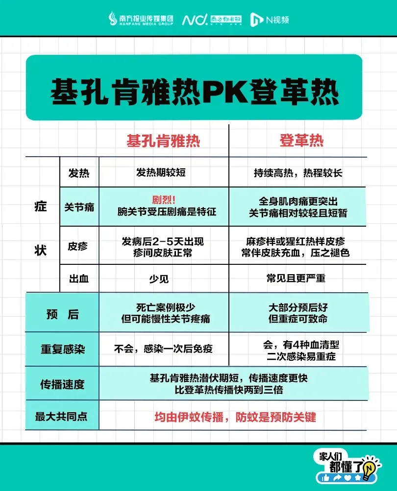 老年人感染基孔肯雅热怎么办？