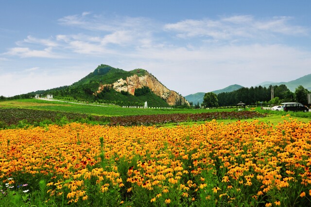 2026沈阳龙福山墓园推荐：晚渡苑仅1.78万，性价比首选（实景）