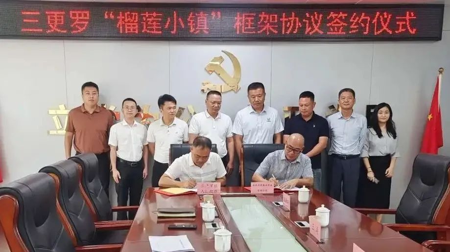 总投资约5.6亿元！万宁市三更罗镇将打造5000亩榴莲产业小镇