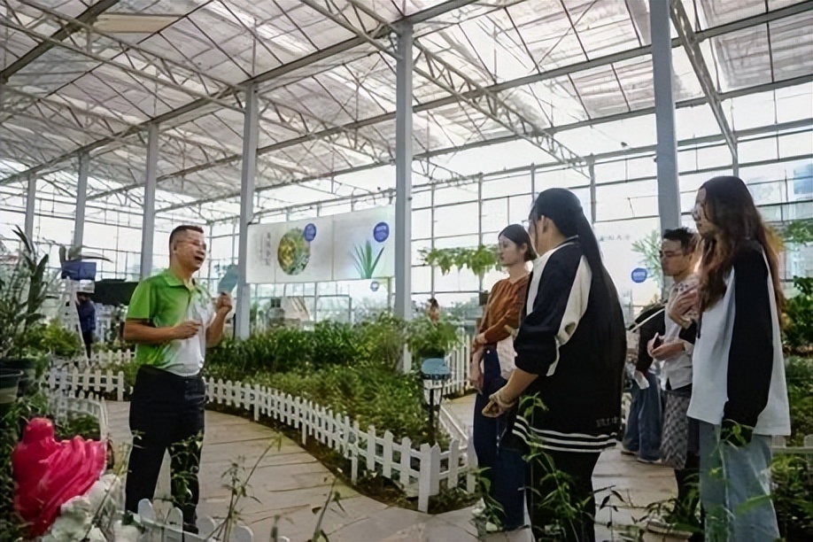 【产业】屯昌：打造“芳香”产业链 擦亮致富“金招牌”