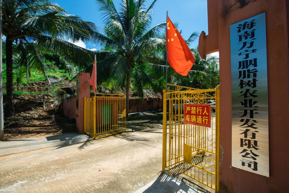曾祥青：在百年胭脂树下追寻绿色财富之路