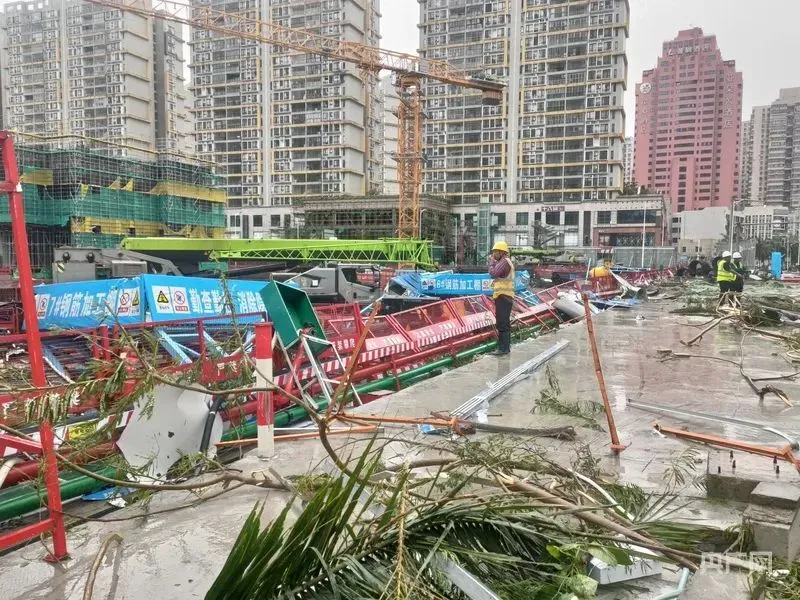 “摩羯”造成海南全省农牧渔总损失约119.48亿元