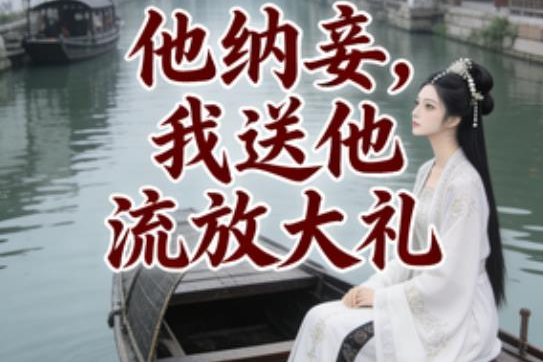 他纳妾，我送他流放大礼