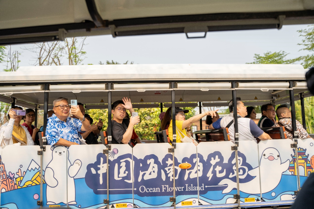 去年，这个国家来海南旅游人数同比增长超33倍→