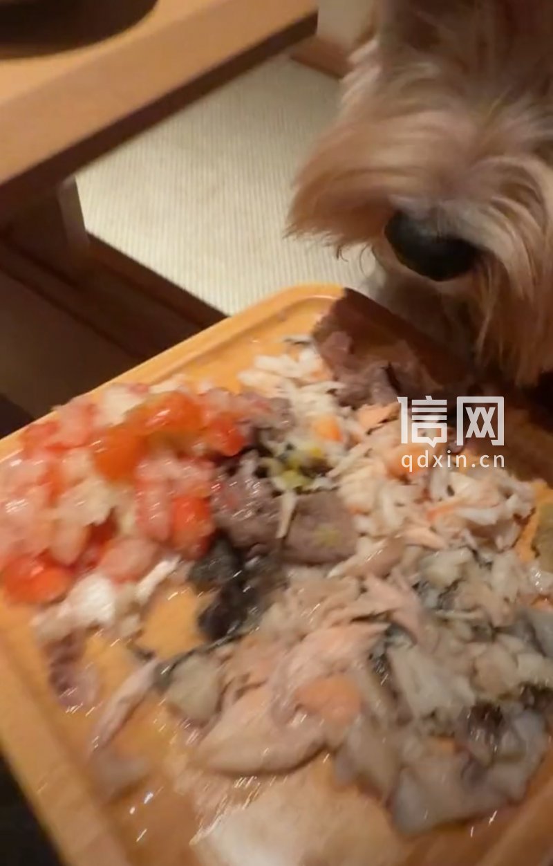 南京樱・虹料理日料店客人用餐盘喂狗 涉事门店紧急销毁餐具