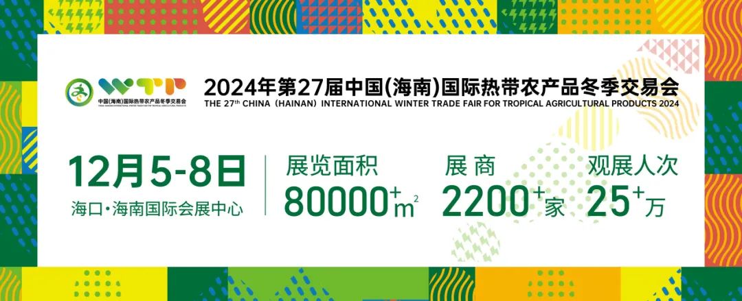 第27届冬交会开幕！这份交通出行提示请收好→