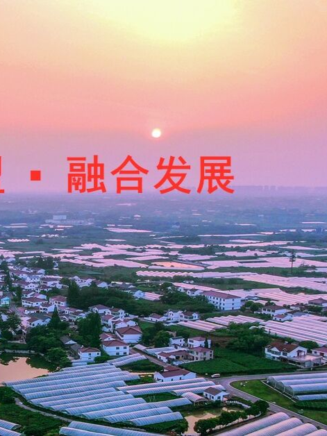 杨建允：互联网＋旅游激发新业态，文旅消费新模式大有可为