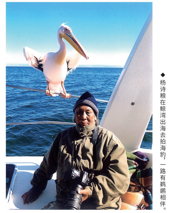 《荒岛奇恋》——第二章 沙滩邂逅