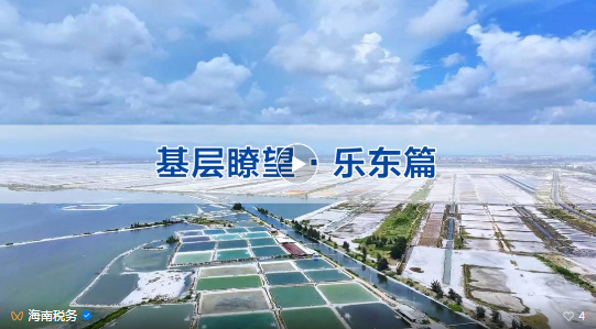 【万千气象看海南·基层瞭望在乐东】山海乐东·可盐可甜