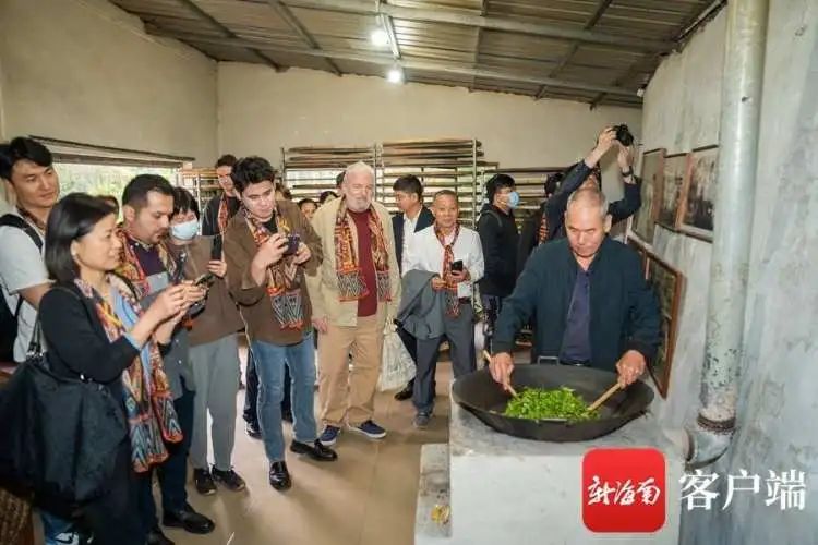 毛纳欢歌·赶“路”人 | 茶人茶“路”：改变命运的“金钥匙”