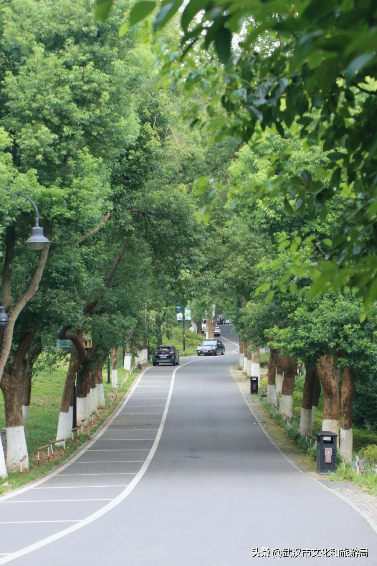 热热热！夏日避暑纳凉路线来啦