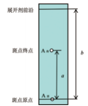 【连载】2024中国沉香产业发展报告第四章第三节 | 沉香的鉴定（10）
